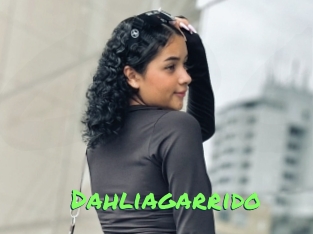 Dahliagarrido