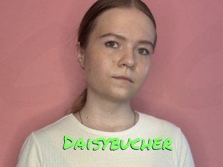 Daisybucher