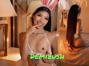 Demibush