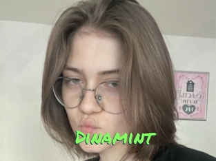 Dinamint