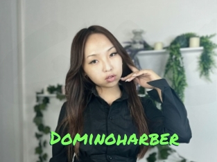 Dominoharber