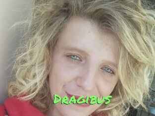 Dragibus