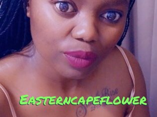 Easterncapeflower