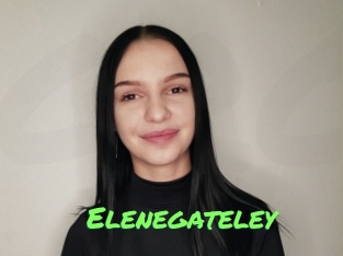 Elenegateley