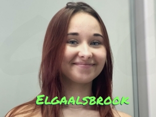 Elgaalsbrook