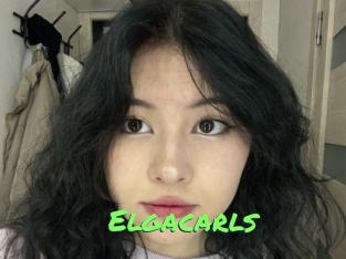 Elgacarls