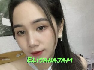 Elisanajam