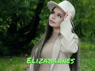 Elizabarnes