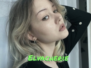 Elvacherie