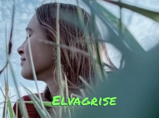 Elvagrise