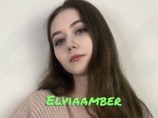 Elviaamber