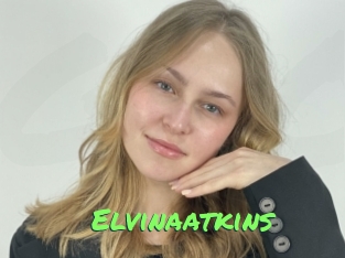 Elvinaatkins