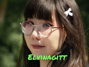 Elvinagitt