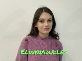 Elwynadudley