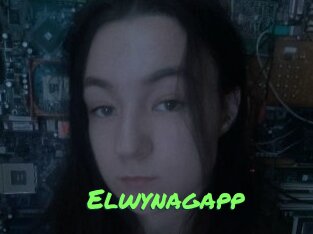 Elwynagapp