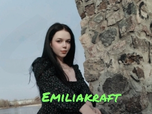 emiliakraft Gros Seins