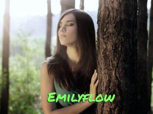 Emilyflow