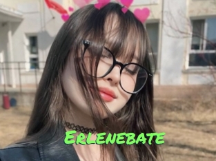Erlenebate