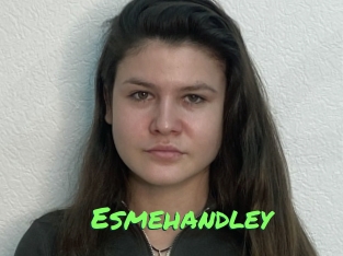 Esmehandley