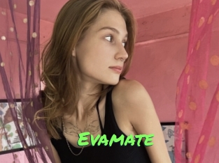 Evamate