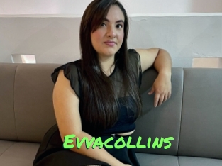 evvacollins Gros Seins