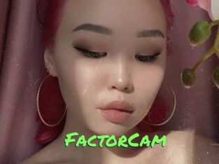 FactorCam