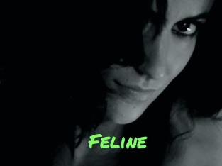 Feline Gros Seins