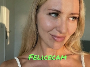 Felicecam