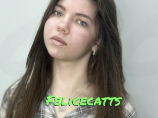 Felicecatts