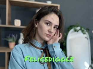 Felicediggle