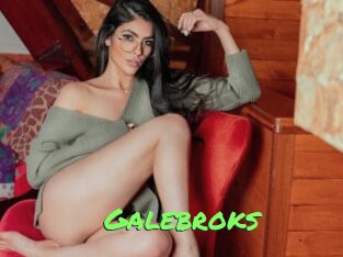 Galebroks