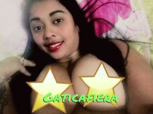 Gaticafiera