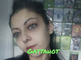 Gattahot
