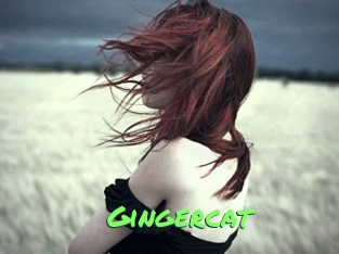 Gingercat