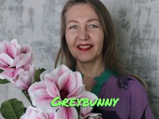 Greybunny