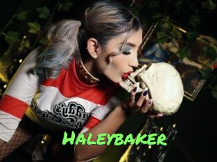 Haleybaker