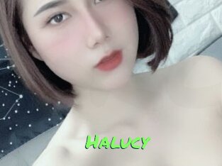 Halucy