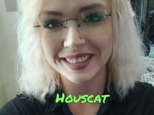 houscat Gros Seins
