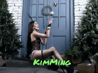 KimMing