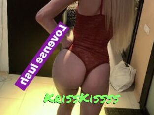 KrissKissss