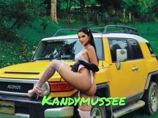 Kandymussee