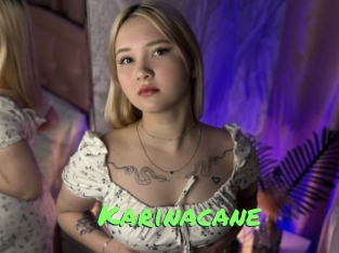 Karinacane