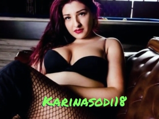 Karinasodi18