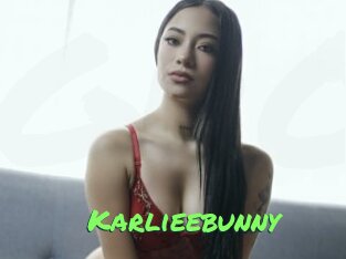 Karlieebunny