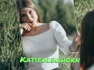 Katiegleghorn
