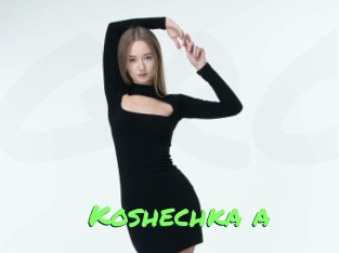 Koshechka_a