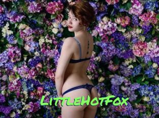 LittleHotFox Gros Seins