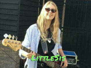 LittleSis