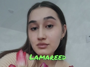 Lamareed