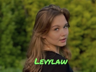 Levylaw